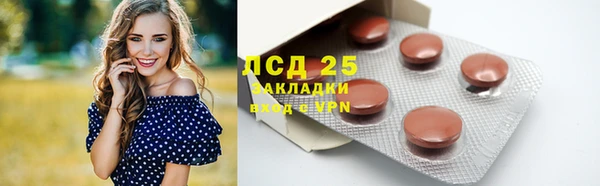 ГАЛЛЮЦИНОГЕННЫЕ ГРИБЫ Гусиноозёрск