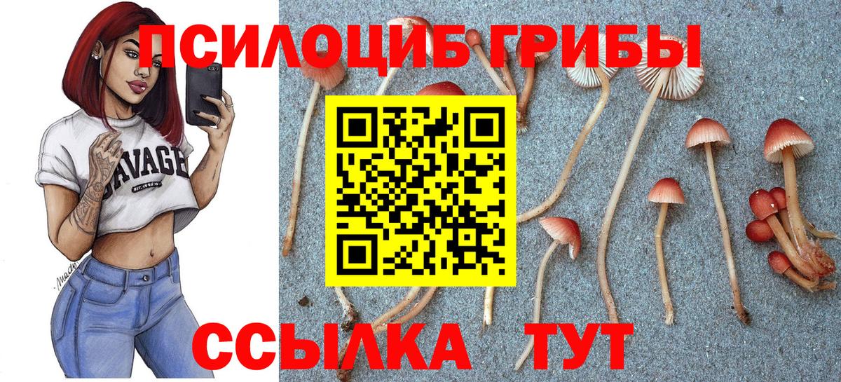Галлюциногенные грибы мухоморы Белореченск