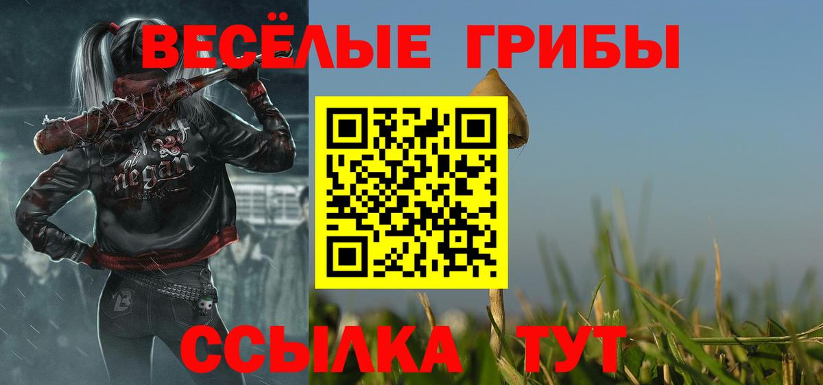 Белореченск  хочу   Вход с VPN  Псилоцибиновые грибы Psilocybine cubensis 