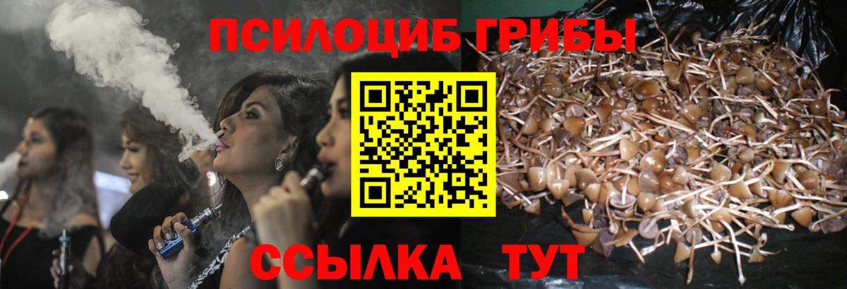 Галлюциногенные грибы Cubensis  Белореченск  Галлюциногенные грибы GOLDEN TEACHER 